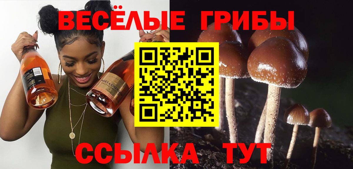 Галлюциногенные грибы мицелий  Вход с VPN  Нововоронеж 