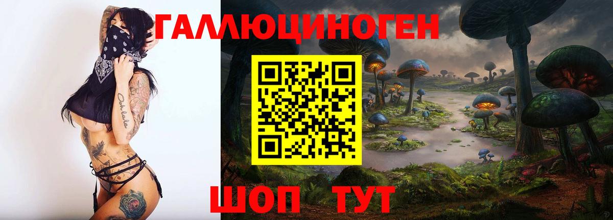 Галлюциногенные грибы мухоморы Нововоронеж