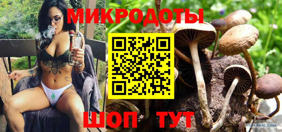 Гашиш Нововоронеж